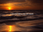 LAS ESTRELLAS DEL MAR