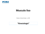 Musculo liso - Bio edu ciencia