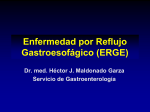 Enfermedad por Reflujo Gastroesofágico (ERGE)