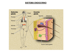 Mecanismos de acción hormonal