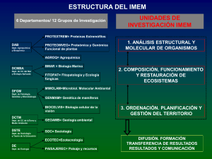 Structure of the IMEM