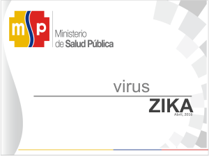 Situación Ecuador SE 13, Embarazadas