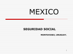Plan de Trabajo México