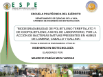 T-ESPE-038954-P - El repositorio ESPE