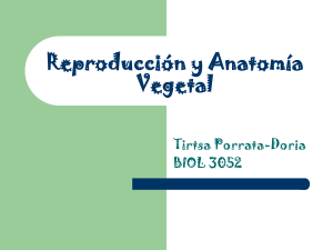 Reproducción y Anatomía Vegetal