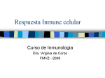 Respuesta.Inmune.celular.2009