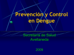prevención y control en Dengue