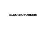 electroforesis - Aula Virtual FCEQyN