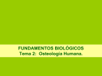 Tema2_Osteología_1. 1112