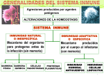 Presentación de PowerPoint - Colegio de la Divina Misericordia