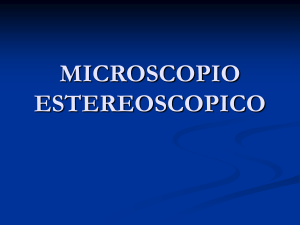 MICROSCOPIO ESTEREOSCOPICO