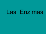 enzimas - tras