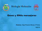 Biología Molecular Temas: 4.3-Estructura de genes procariotas 4.4