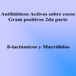 betalactamicos_y_macrolidos_2007final