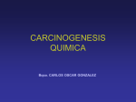 CARCINOGENESIS QUIMICA