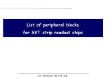 SuperB_strip_chip_IP_blocks