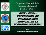 Programa Sindical de la Economía Informal CIOSL - ORIT