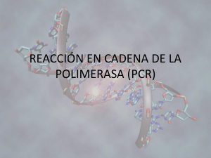 REACCIÓN EN CADENA DE LA POLIMERASA (PCR)