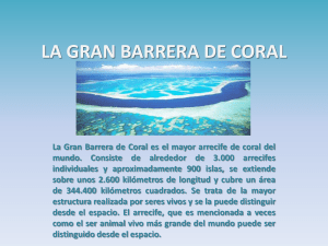 la gran barrera de coral