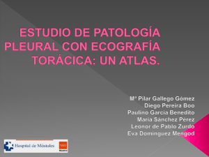 + Interpretaci&oacute;n de las im&aacute;genes.