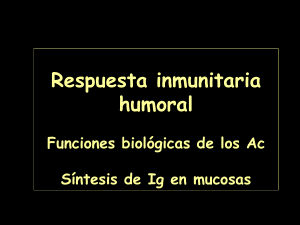 Respuesta inmunitaria humoral