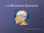 La Memoria Humana - Fherrera Psicología