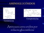 Aminoglucósidos 2009