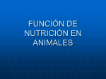función de nutrición en animales