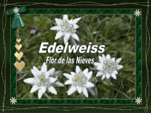 Slide 1 - Edelweiss Baradero