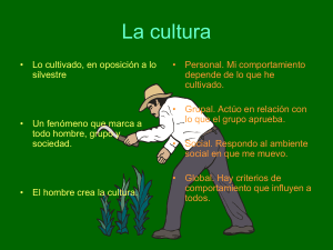 La cultura - teresianasgpe.edu.mx