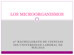 los microorganismos - Universidad Laboral de Málaga