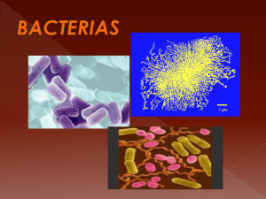 bacterias.(AM.Jerez)