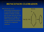 bencenos clorados