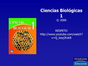 nucleo - Ecomundo Centro de Estudios