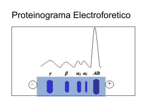 Proteinograma Electroforetico