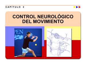 Control Neurológico del Movimiento