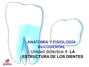 4. enfermedades y lesiones de la boca