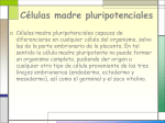 Células madre pluripotenciales