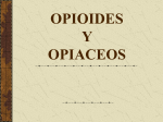 OPIOIDES Y OPIACEOS