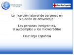 Cruz Roja Española - EMN Annual Conference