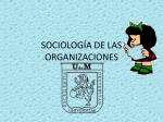 SOCIOLOGÍA DE LAS ORGANIZACIONES