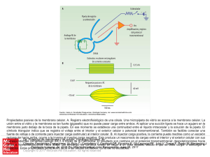 Slide 1 - AccessMedicina