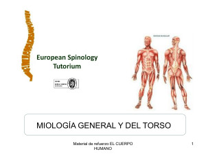 Diapositiva 1 - curso Spinologia Online
