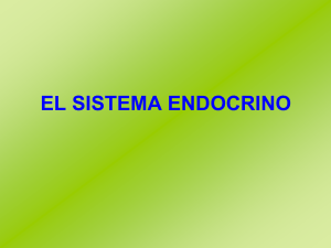 sistema endocrino - Instituto Tabancura
