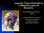 Aspectos Neuro-Educativos y Didácticos para la Docencia