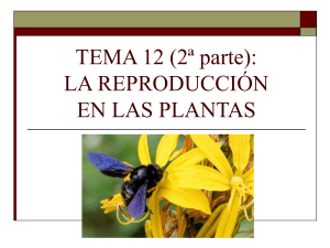 La reproducción en las plantas