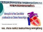 Marcadores Sonográficos 3