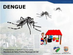 Presentación para Capacitación del Dengue Centros Comerciales