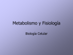 Metabolismo y Fisiología (descargar)