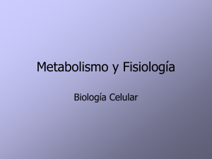 Metabolismo y Fisiología (descargar)